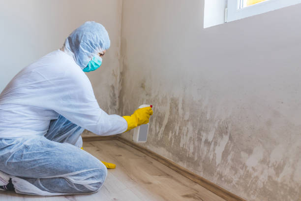 Licensed Commercial Mold Remediation service in Tempe, AZ - WQB Mold Removal