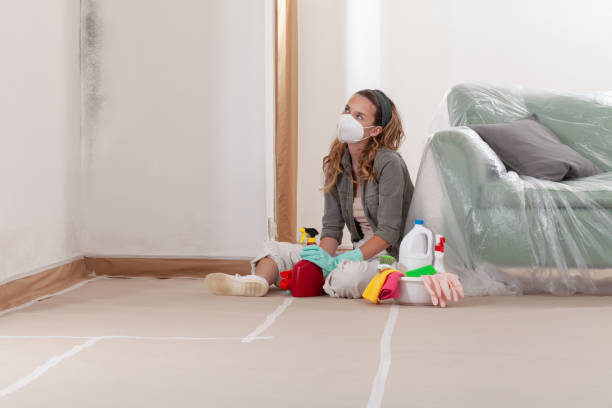 Reliable Commercial Mold Remediation contractor in Tempe, AZ by WQB Mold Removal